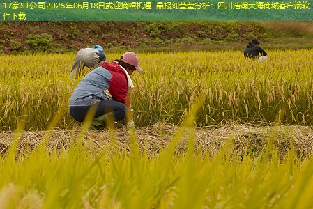 17家ST公司2025年06月18日或迎摘帽机遇 晶报刘莹莹分析