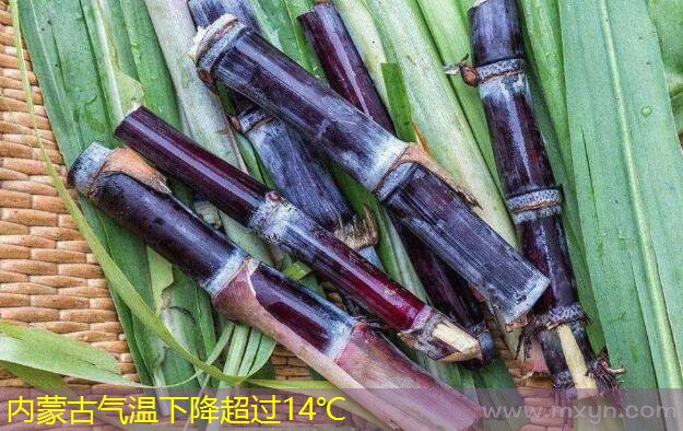 内蒙古气温下降超过14℃