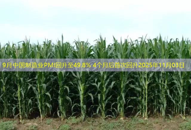 9月中国制造业PMI回升至49.8% 4个月后首次回升2025年11月03日