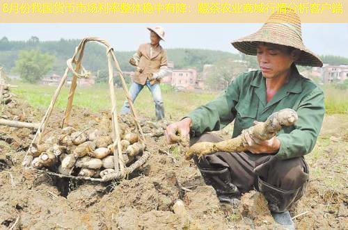 8月份我国货币市场利率整体稳中有降：藏茶农业商城行情分析客户端