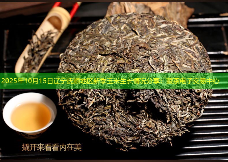 2025年10月15日辽宁抚顺地区新季玉米生长情况分享