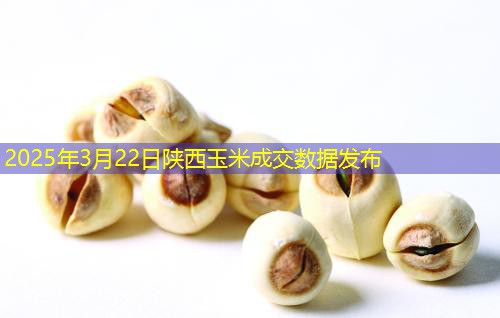2025年3月22日陕西玉米成交数据发布