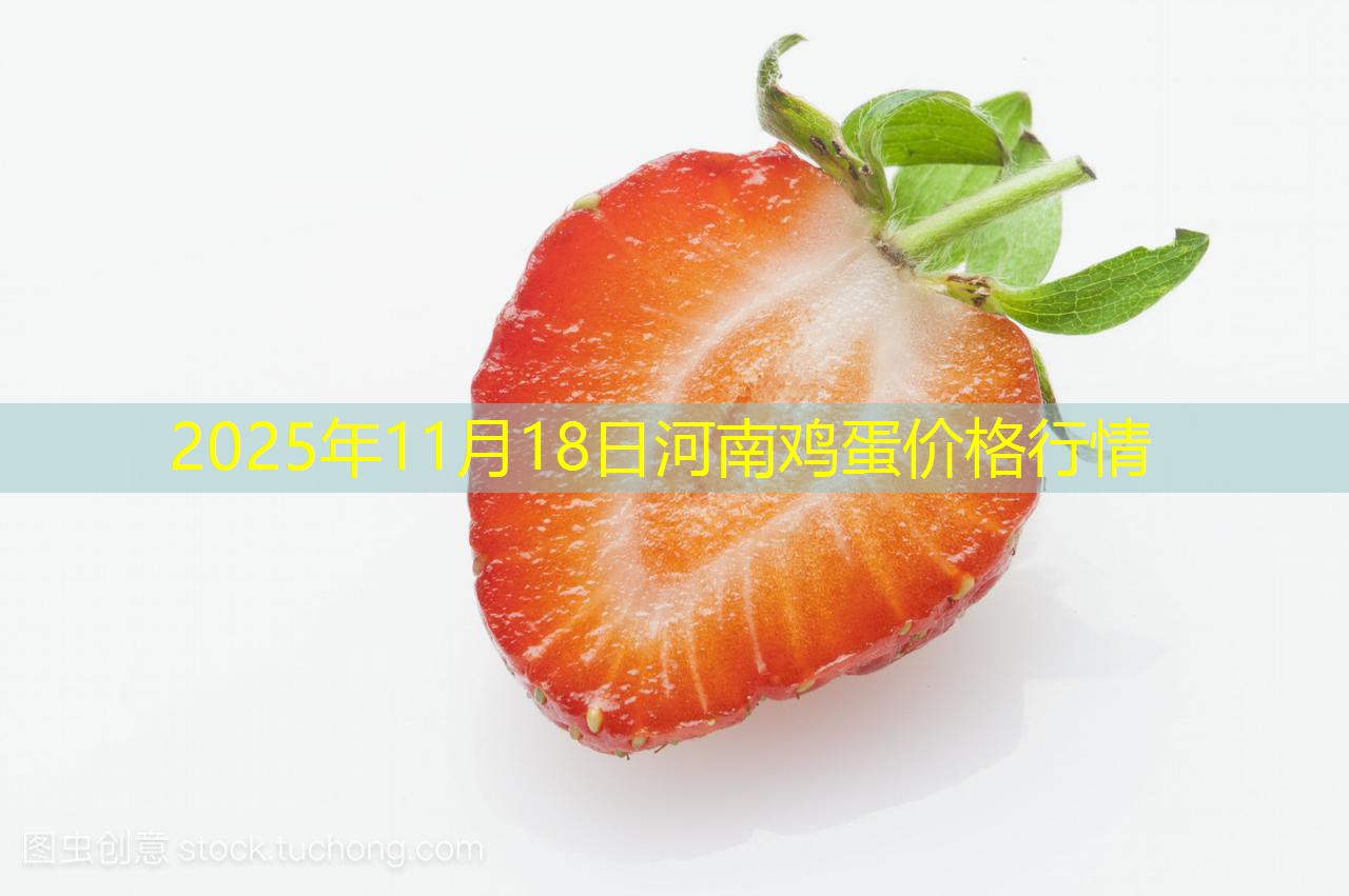 2025年11月18日河南鸡蛋价格行情