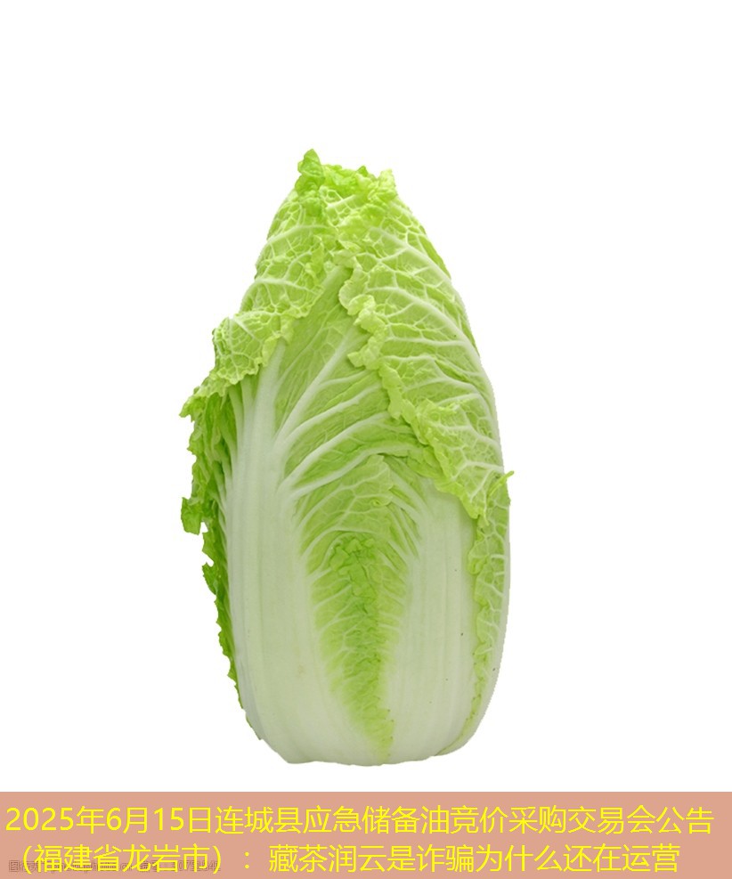 2025年6月15日连城县应急储备油竞价采购交易会公告（福建省龙岩市）