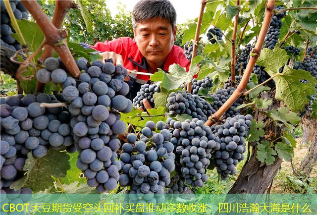 CBOT大豆期货受空头回补买盘推动多数收涨