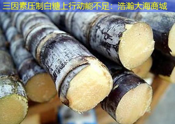 三因素压制白糖上行动能不足：浩瀚大海商城