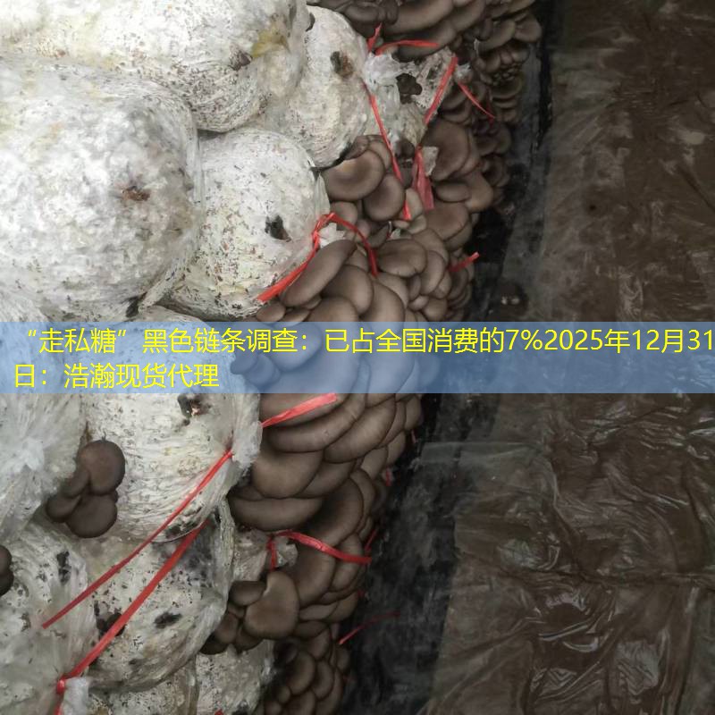 “走私糖”黑色链条调查：已占全国消费的7%2025年12月31日：浩瀚现货代理