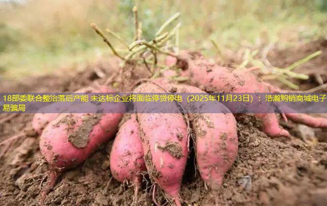 18部委联合整治落后产能 未达标企业将面临停贷停电（2025年11月23日）：浩瀚购销商城电子交易骗局