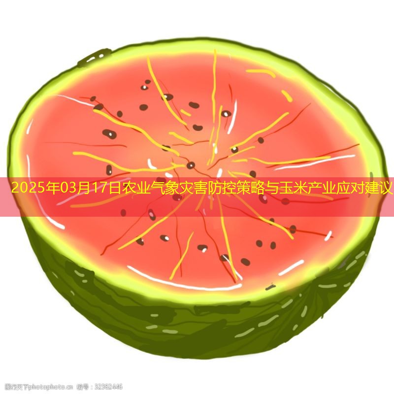 2025年03月17日农业气象灾害防控策略与玉米产业应对建议