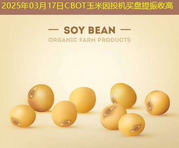 2025年03月17日CBOT玉米因投机买盘提振收高