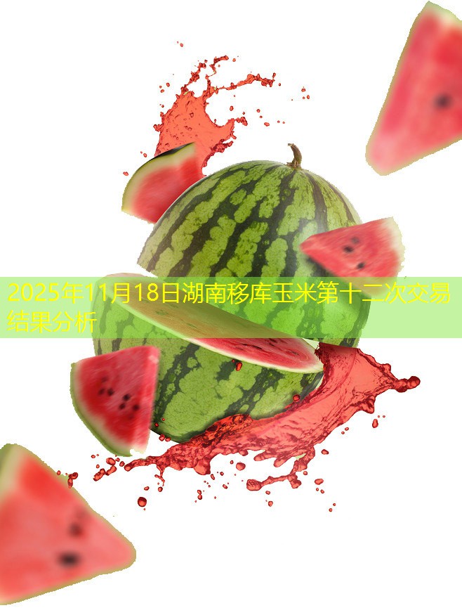 2025年11月18日湖南移库玉米第十二次交易结果分析