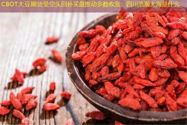 CBOT大豆期货受空头回补买盘推动多数收涨：四川浩瀚大海是什么