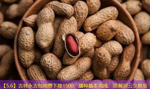 【5.6】吉林永吉包地费下降1500，播种基本完成：浩瀚润云交易员