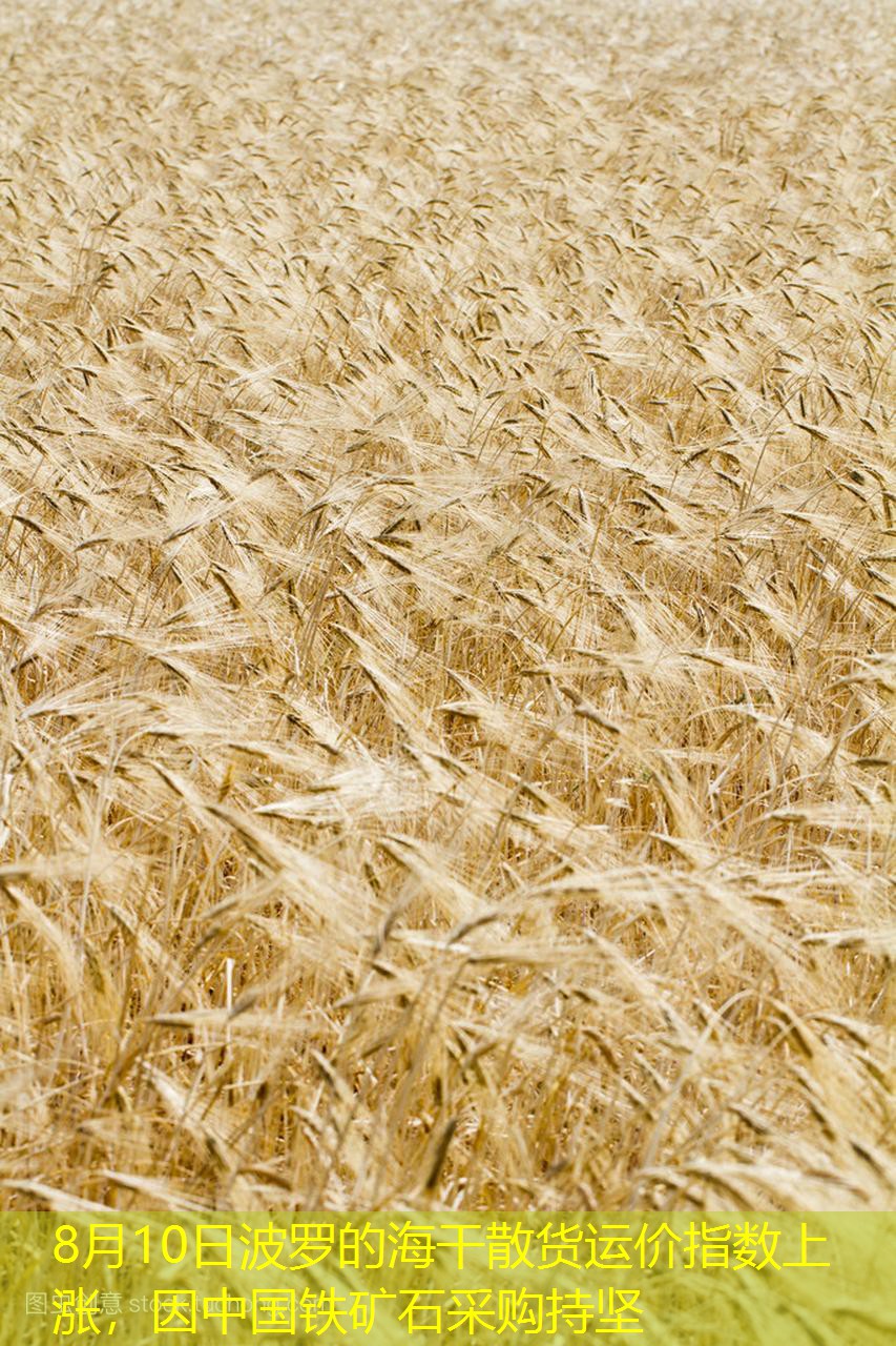 8月10日波罗的海干散货运价指数上涨，因中国铁矿石采购持坚