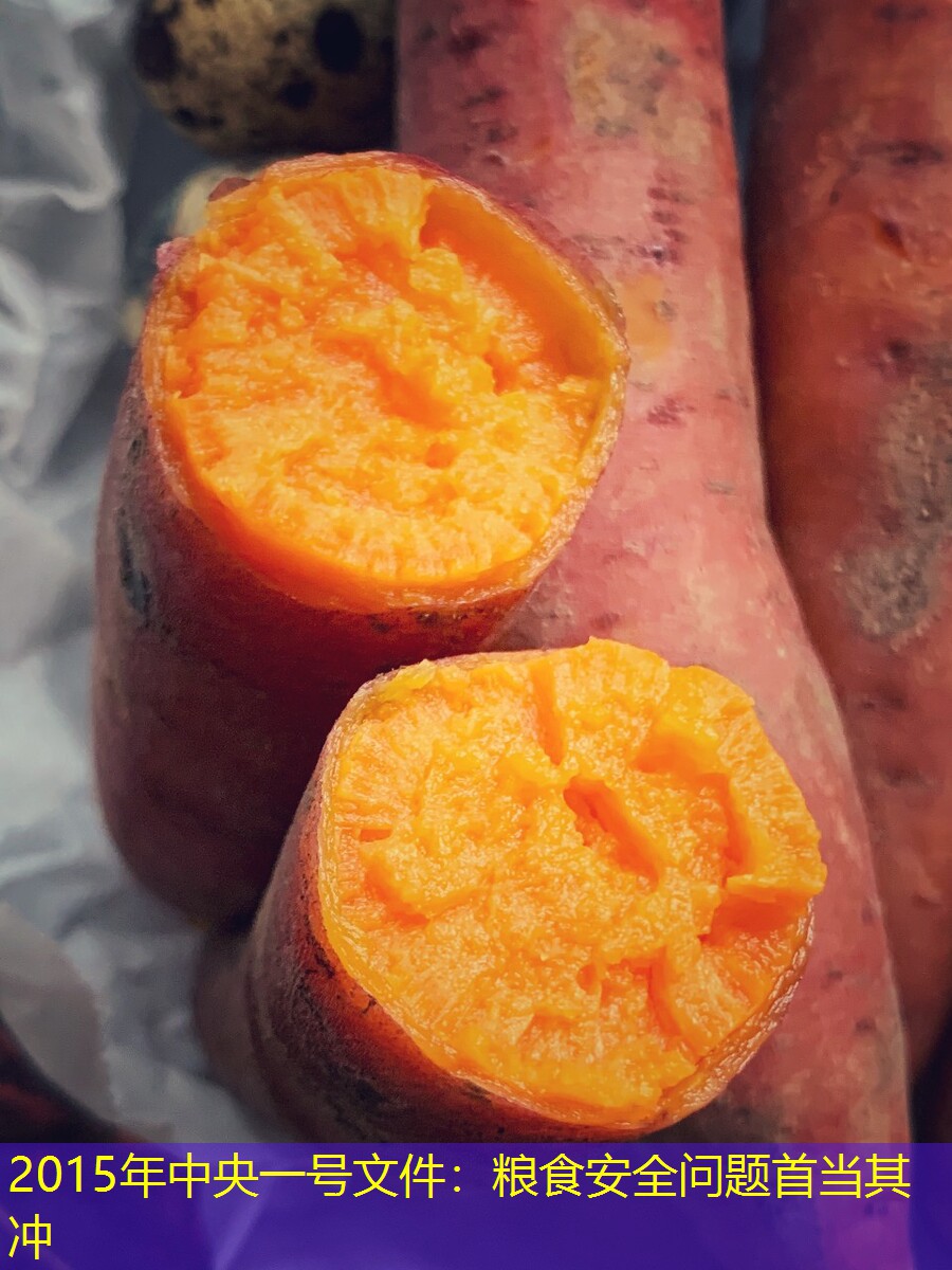 2015年中央一号文件：粮食安全问题首当其冲