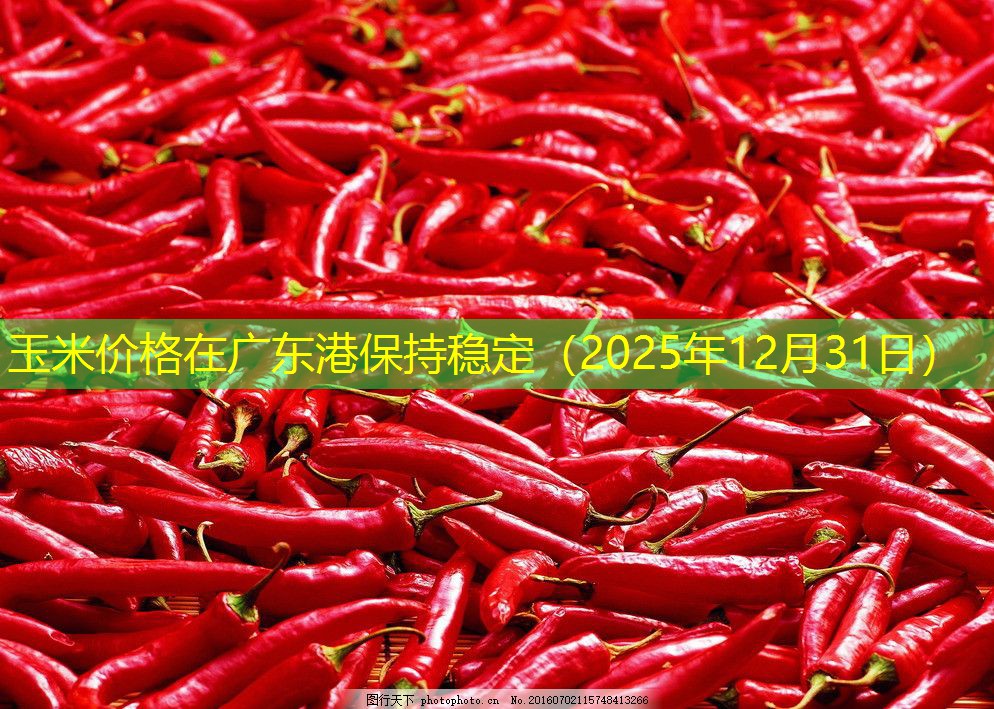 玉米价格在广东港保持稳定（2025年12月31日）