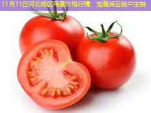 11月11日河北地区鸡蛋价格行情：浩瀚润云账户注销