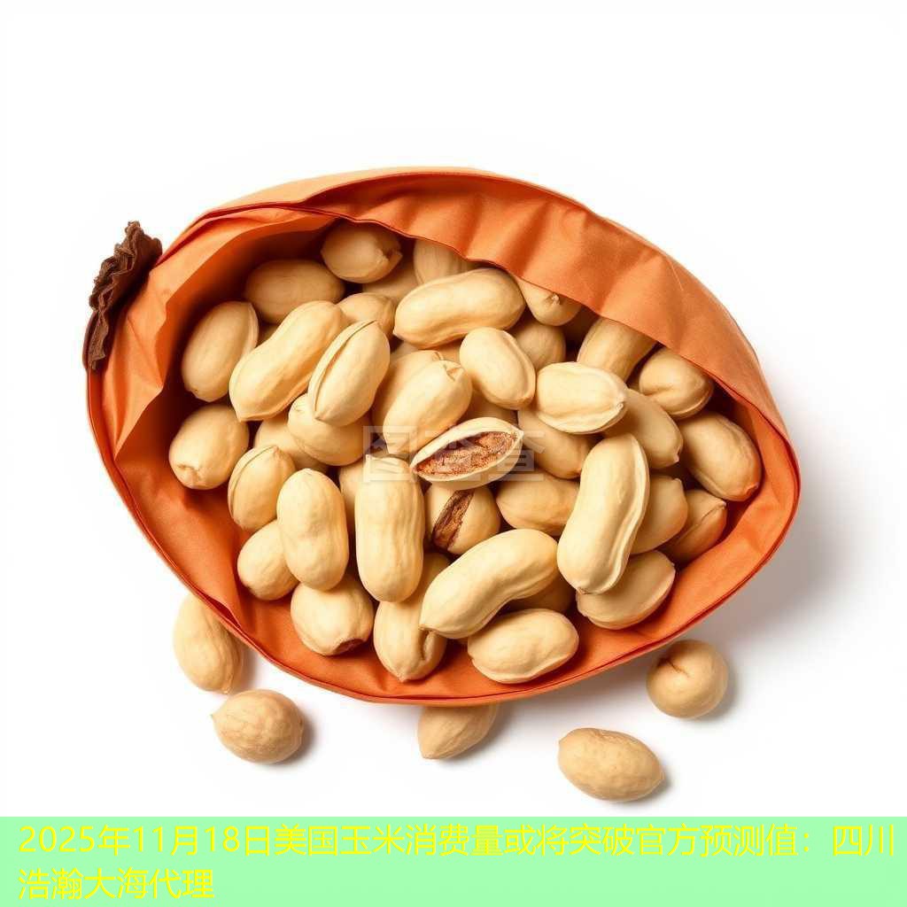 2025年11月18日美国玉米消费量或将突破官方预测值：四川浩瀚大海代理