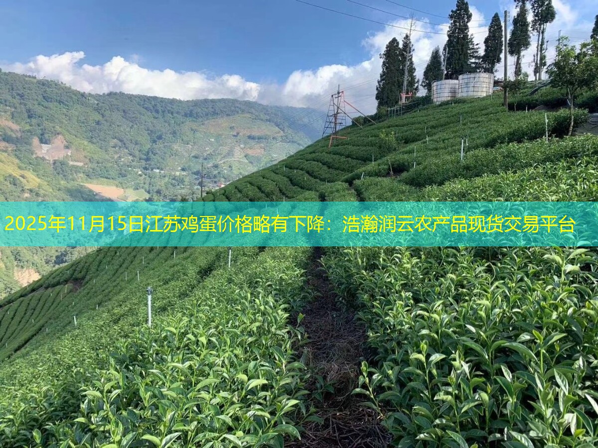 2025年11月15日江苏鸡蛋价格略有下降