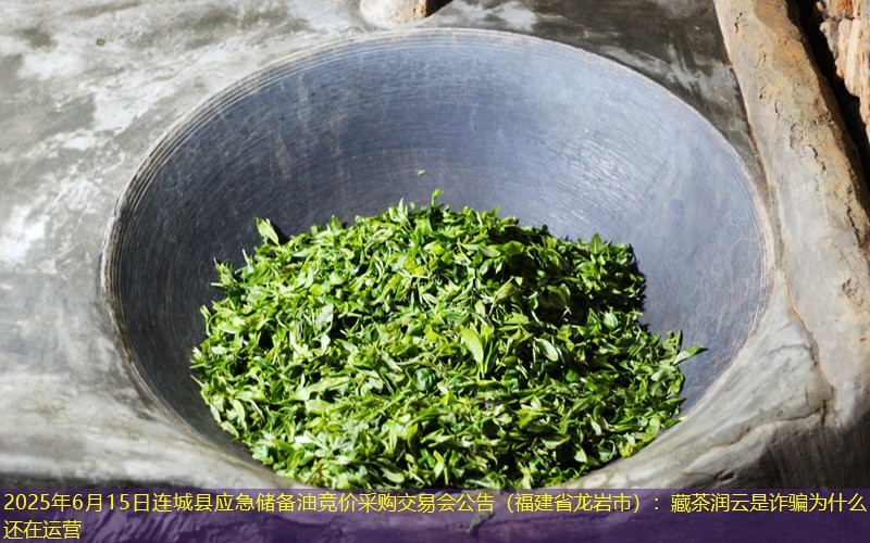 2025年6月15日连城县应急储备油竞价采购交易会公告（福建省龙岩市）