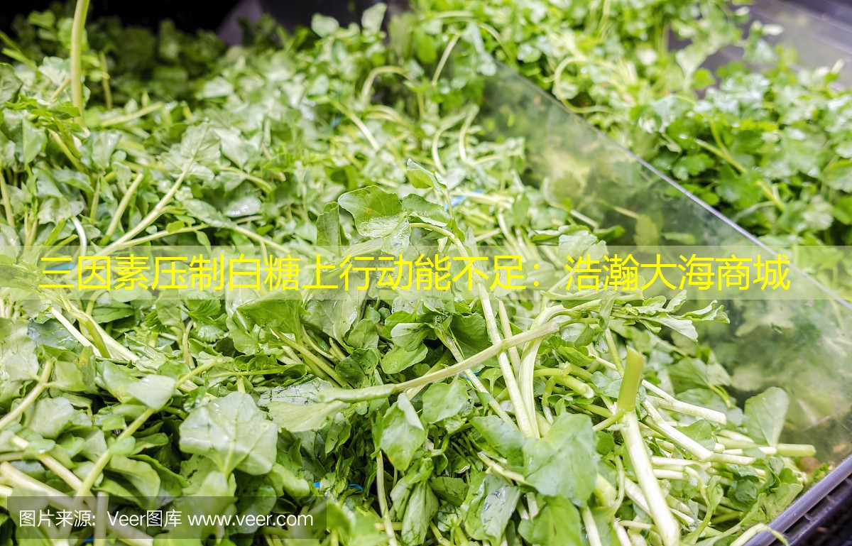 三因素压制白糖上行动能不足