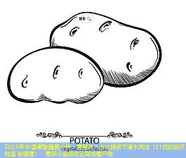 2025年中国薪酬趋势分析：居民收入占比持续下滑引关注（21世纪经济报道 张容博）：藏茶小金砖农业商城客户端