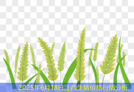 2025年6月18日江西生猪价格行情分析