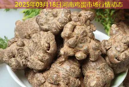 2025年03月18日河南鸡蛋市场行情动态