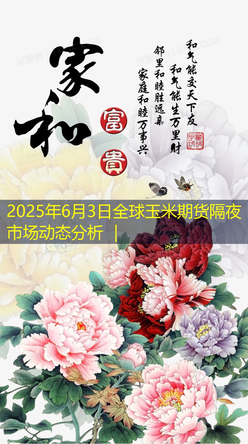 2025年6月3日全球玉米期货隔夜市场动态分析 ｜