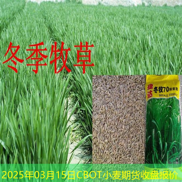 2025年03月15日CBOT小麦期货收盘报价