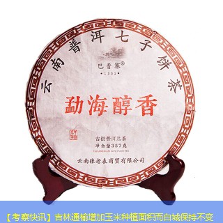 【考察快讯】吉林通榆增加玉米种植面积而白城保持不变