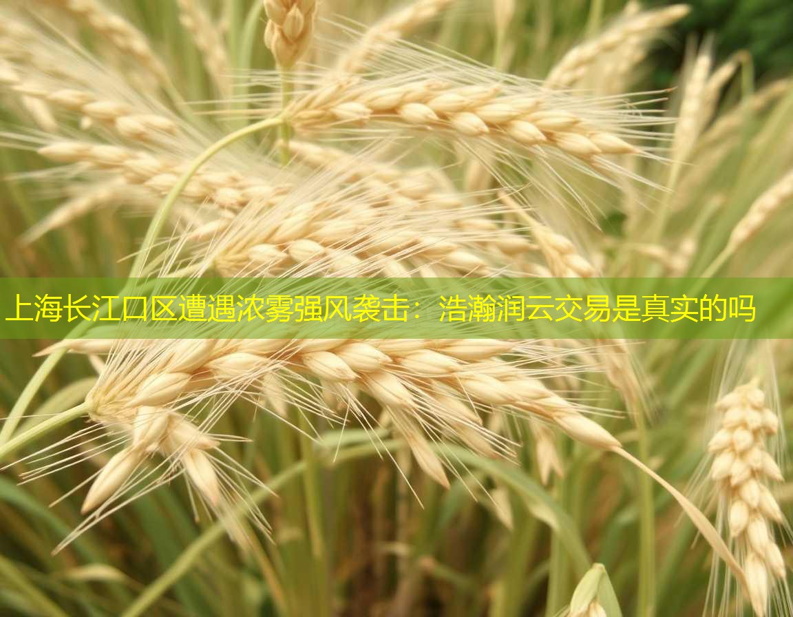 上海长江口区遭遇浓雾强风袭击：浩瀚润云交易是真实的吗