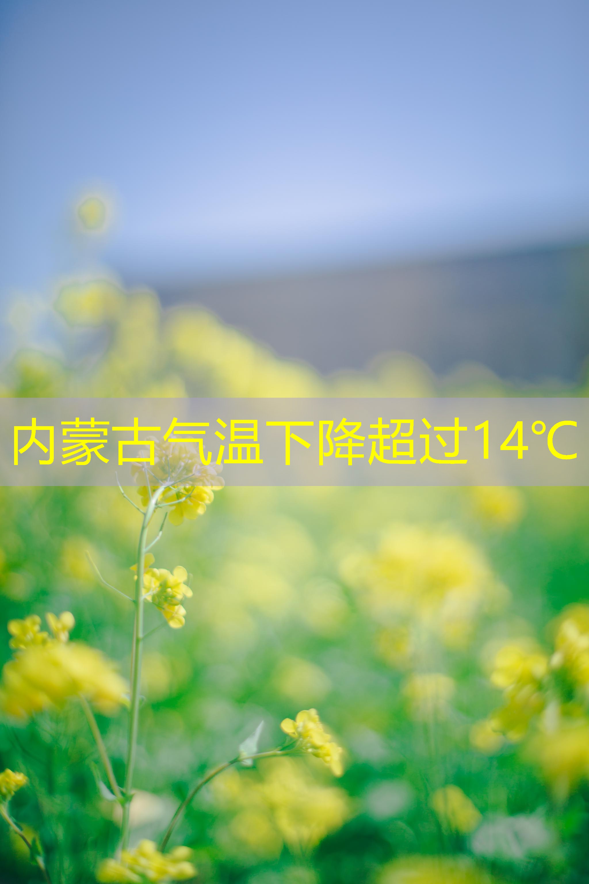 内蒙古气温下降超过14℃