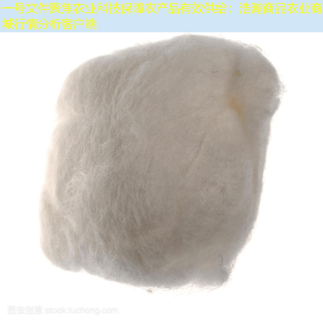 一号文件聚焦农业科技保障农产品有效供给：浩瀚商品农业商城行情分析客户端