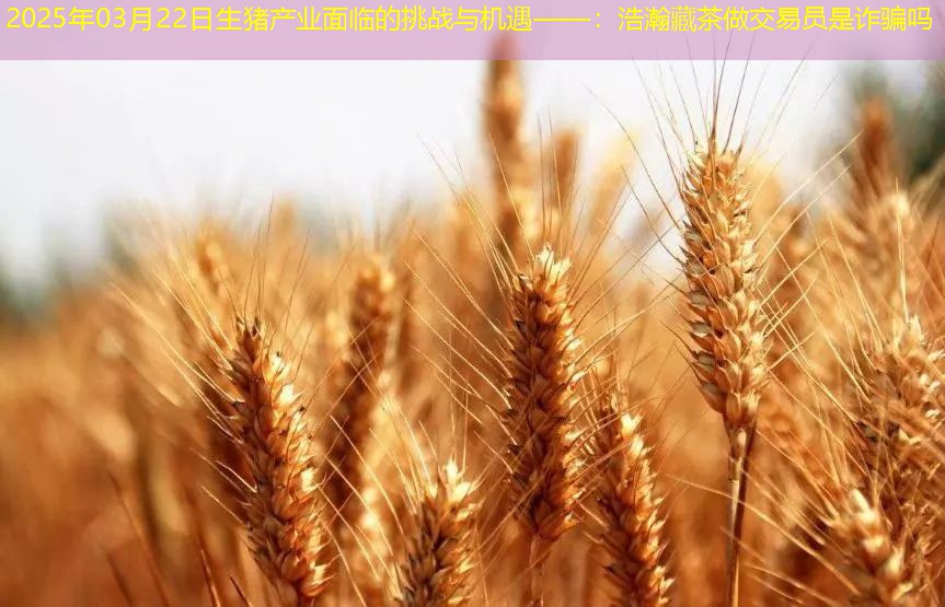 2025年03月22日生猪产业面临的挑战与机遇——