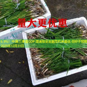 6.9%！中国三季度GDP增速降至金融危机来最低 但好于预期2025年12月31日