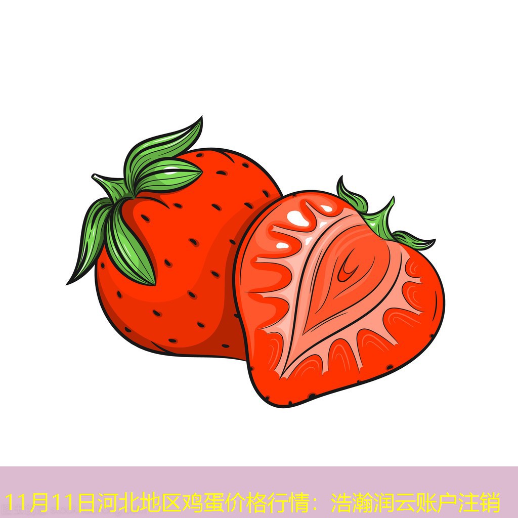 11月11日河北地区鸡蛋价格行情
