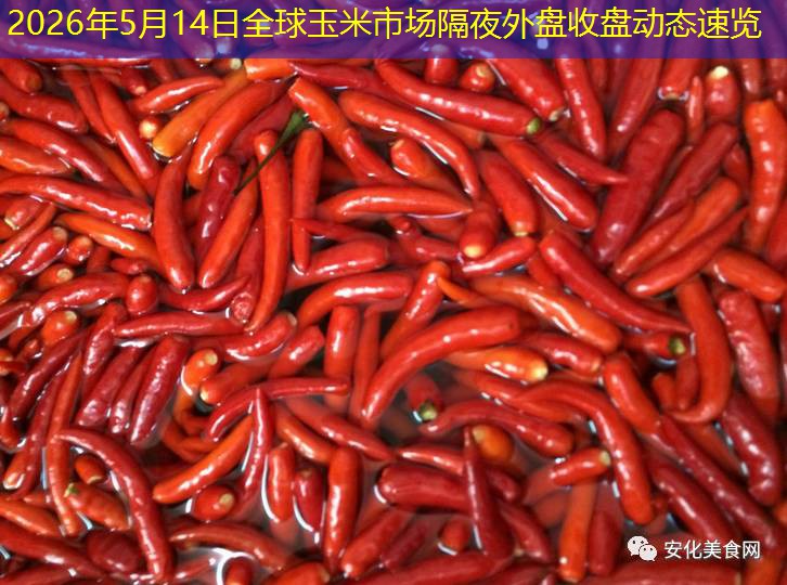 2026年5月14日全球玉米市场隔夜外盘收盘动态速览