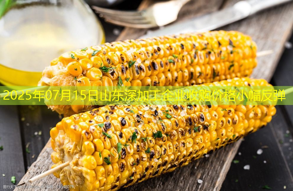 2025年07月15日山东深加工企业收购价格小幅反弹