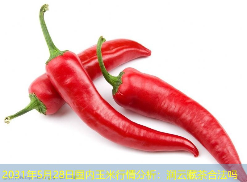 2031年5月28日国内玉米行情分析：润云藏茶合法吗