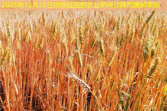 2025年12月28日阿根廷西部农业带将迎降雨缓解旱情