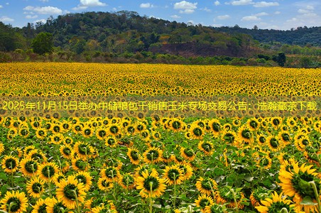 2025年11月15日举办中储粮包干销售玉米专场交易公告：浩瀚藏茶下载