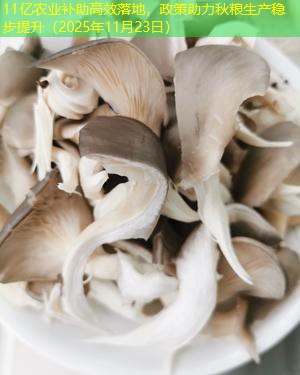 11亿农业补助高效落地，政策助力秋粮生产稳步提升（2025年11月23日）