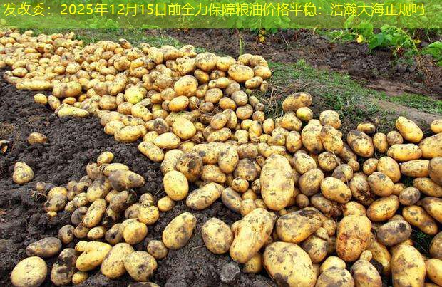 发改委：2025年12月15日前全力保障粮油价格平稳：浩瀚大海正规吗