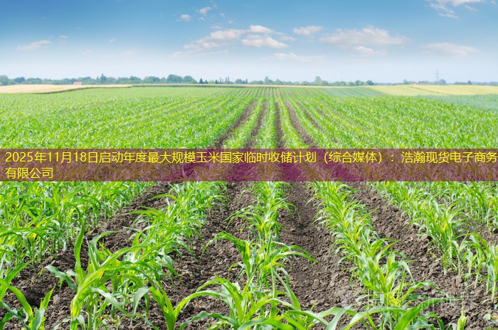2025年11月18日启动年度最大规模玉米国家临时收储计划（综合媒体）：浩瀚现货电子商务有限公司