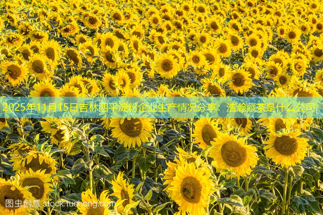2025年11月15日吉林四平淀粉企业生产情况分享