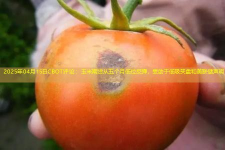2025年04月15日CBOT评论：玉米期货从五个月低位反弹，受助于低吸买盘和美联储声明