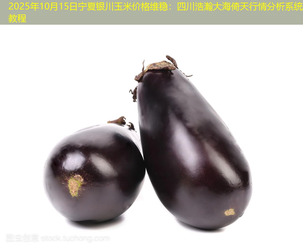2025年10月15日宁夏银川玉米价格维稳：四川浩瀚大海倚天行情分析系统教程
