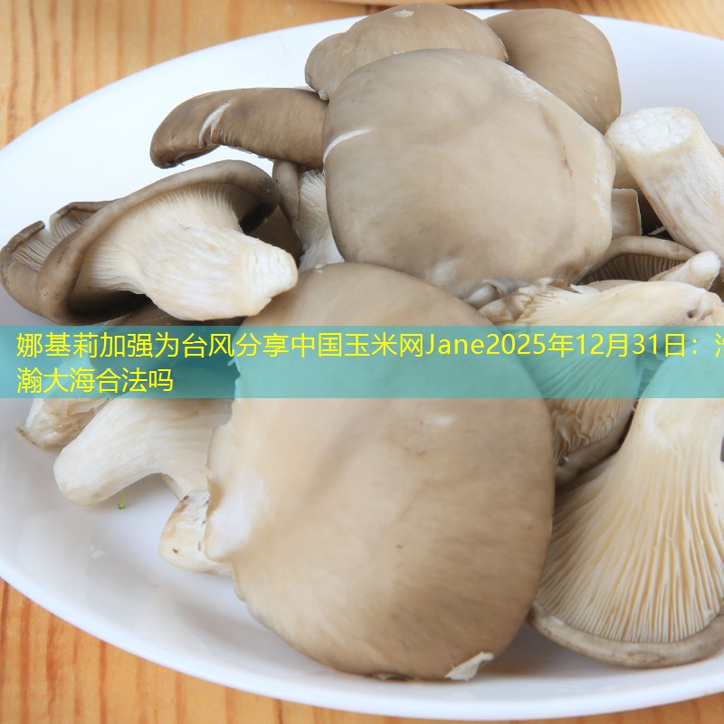 娜基莉加强为台风分享中国玉米网Jane2025年12月31日