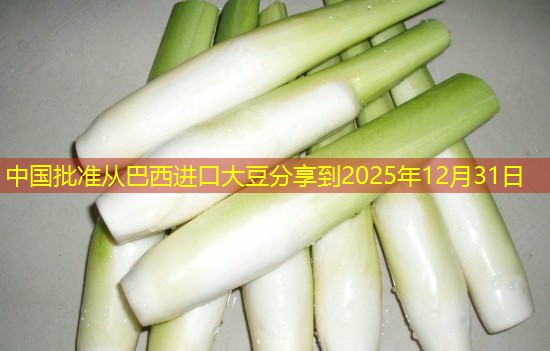 中国批准从巴西进口大豆分享到2025年12月31日